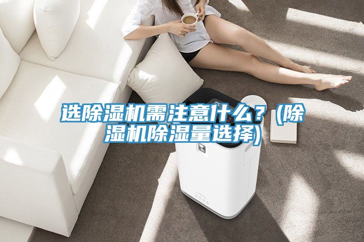 選91看片网站需注意什麽？(91看片网站除濕量選擇)