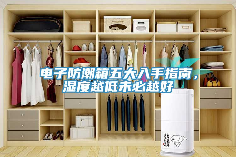 電子防潮箱五大入手指南，濕度越低未必越好