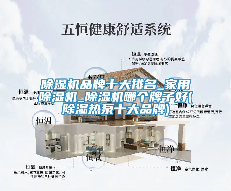 91看片网站品牌十大排名_家用91看片网站_91看片网站哪個牌子好(除濕熱泵十大品牌)