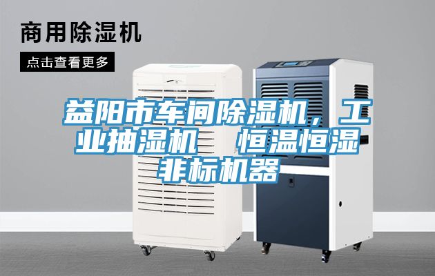 益陽市車間91看片网站，工業抽濕機  恒溫恒濕非標機器