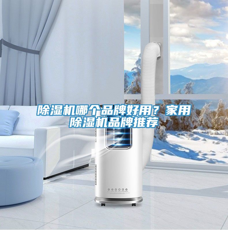 91看片网站哪個品牌好用？家用91看片网站品牌推薦