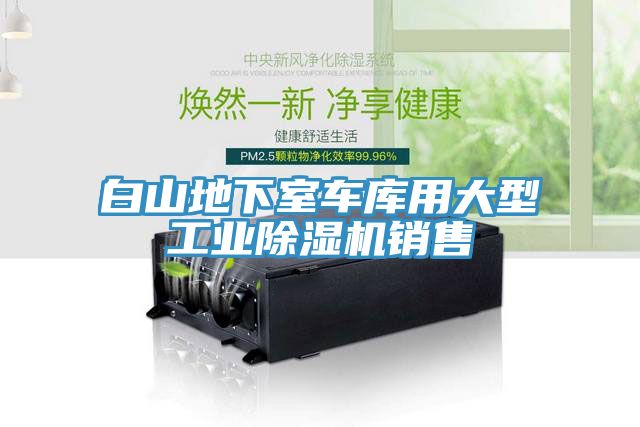 白山地下室車庫用大型工業91看片网站銷售