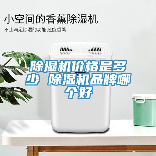 91看片网站價格是多少 91看片网站品牌哪個好