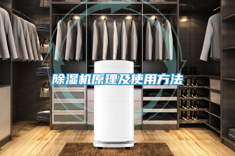 91看片网站原理及使用方法
