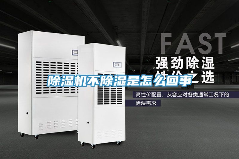91看片网站不除濕是怎麽回事