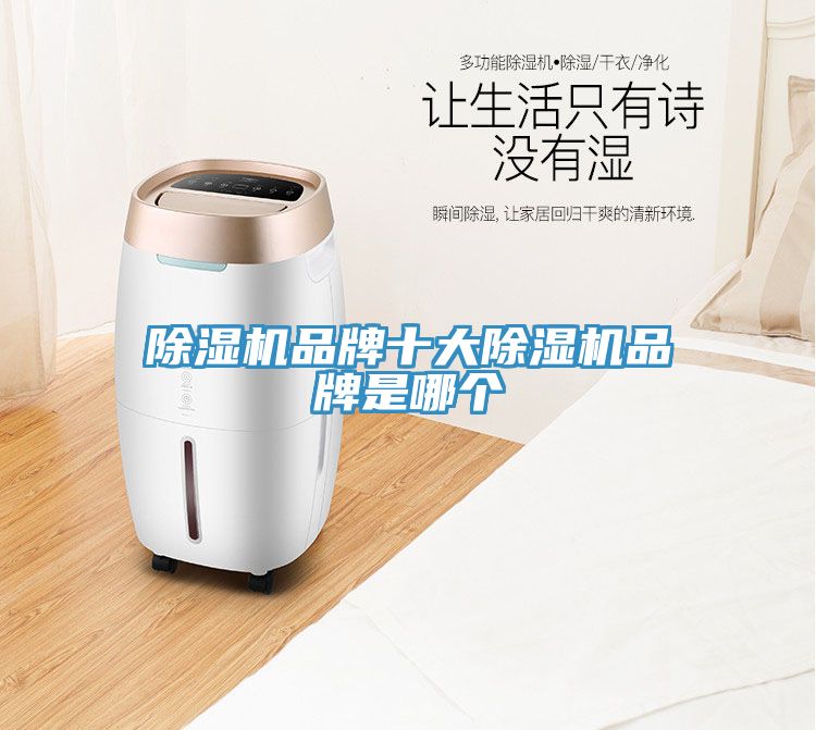 91看片网站品牌十大91看片网站品牌是哪個