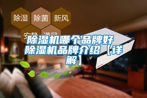 91看片网站哪個品牌好 91看片网站品牌介紹【詳解】