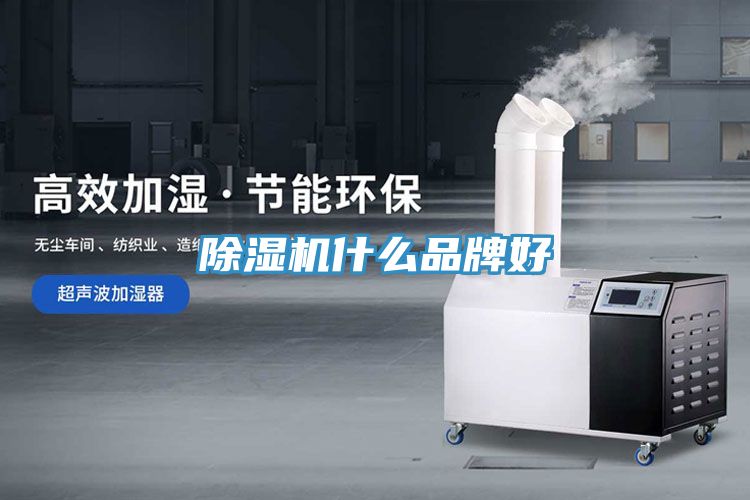 91看片网站什麽品牌好