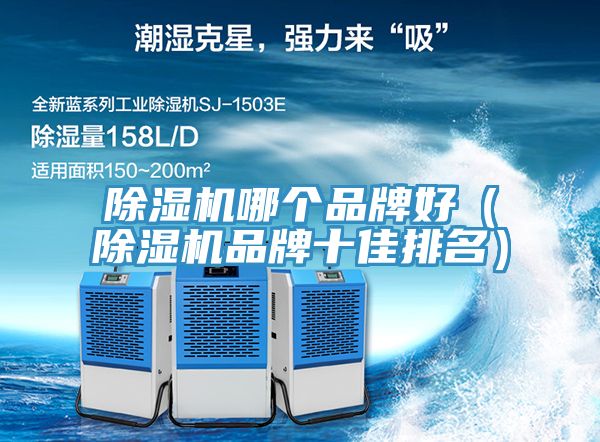 91看片网站哪個品牌好（91看片网站品牌十佳排名）