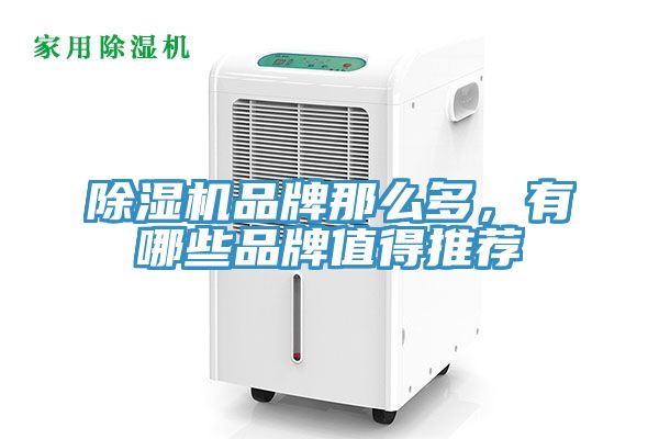 91看片网站品牌那麽多，有哪些品牌值得推薦