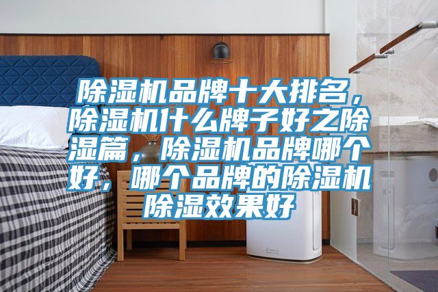 91看片网站品牌十大排名，91看片网站什麽牌子好之除濕篇，91看片网站品牌哪個好，哪個品牌的91看片网站除濕效果好