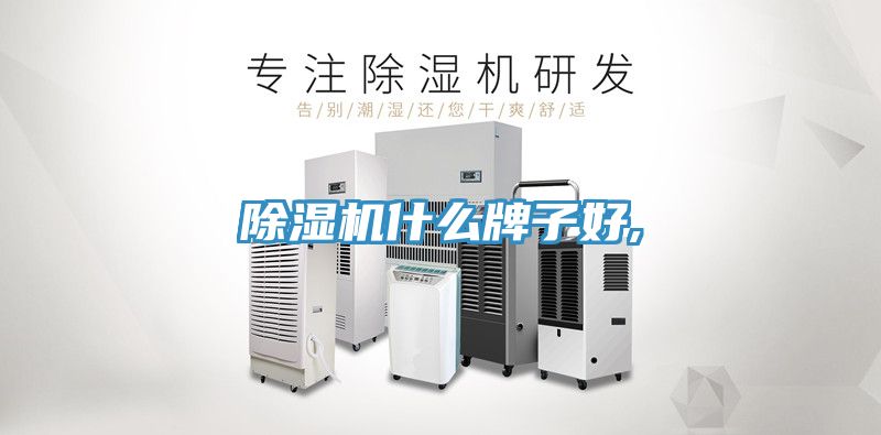 91看片网站什麽牌子好,