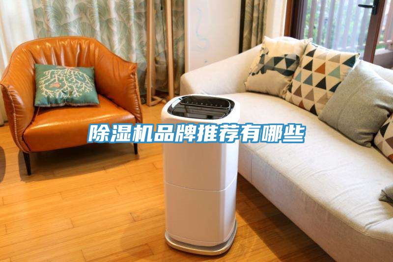 91看片网站品牌推薦有哪些