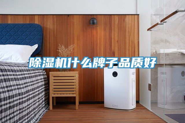91看片网站什麽牌子品質好