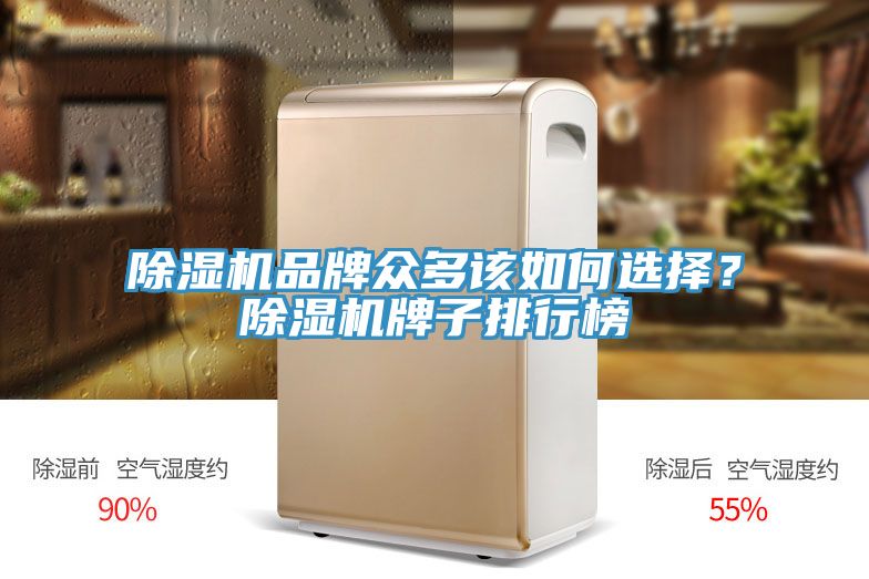 91看片网站品牌眾多該如何選擇？91看片网站牌子排行榜