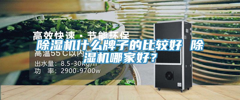 91看片网站什麽牌子的比較好 91看片网站哪家好？