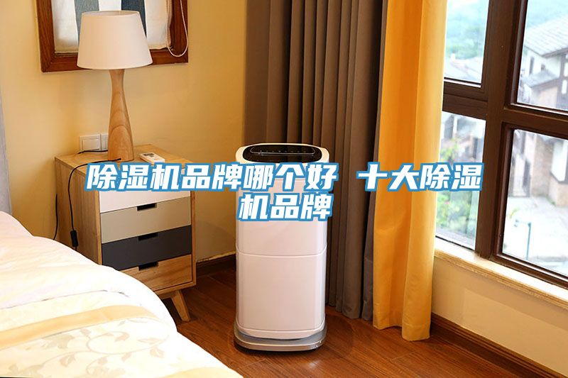 91看片网站品牌哪個好 十大91看片网站品牌