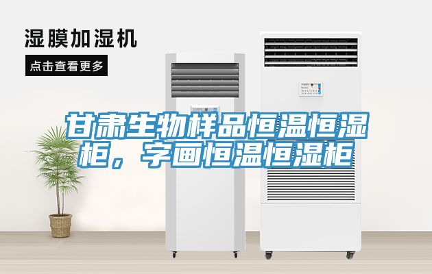甘肅生物樣品恒溫恒濕櫃，字畫恒溫恒濕櫃