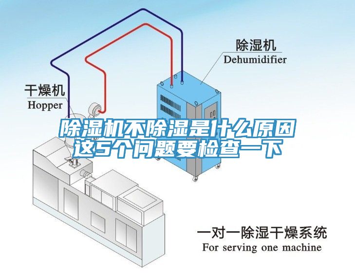 91看片网站不除濕是什麽原因這5個問題要檢查一下