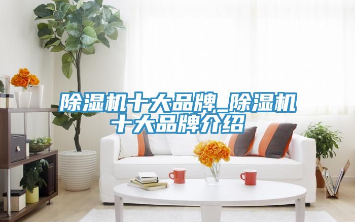 91看片网站十大品牌_91看片网站十大品牌介紹