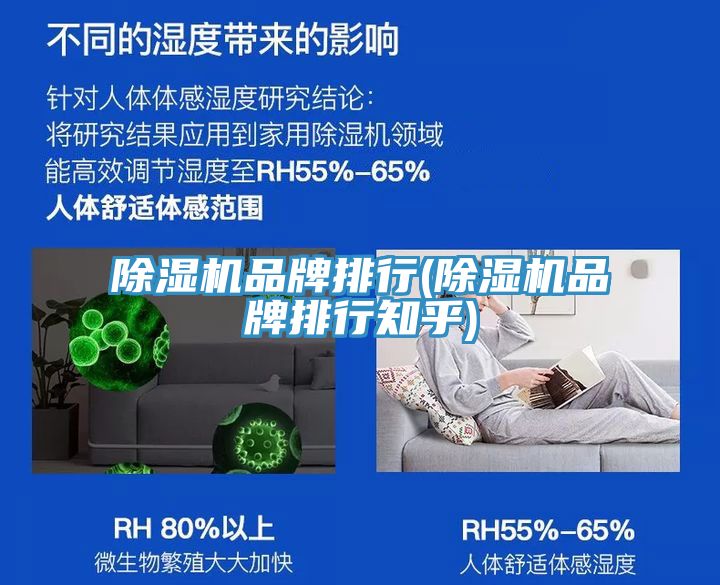 91看片网站品牌排行(91看片网站品牌排行知乎)