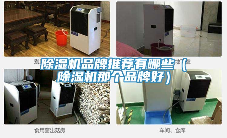 91看片网站品牌推薦有哪些（91看片网站那個品牌好）