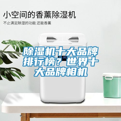 91看片网站十大品牌排行榜？世界十大品牌相機