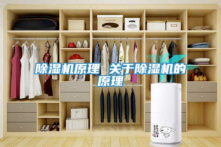 91看片网站原理 關於91看片网站的原理