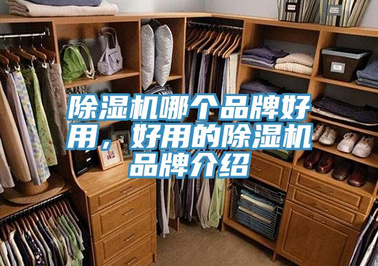 91看片网站哪個品牌好用，好用的91看片网站品牌介紹
