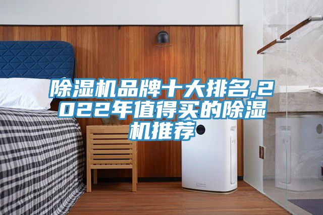 91看片网站品牌十大排名,2022年值得買的91看片网站推薦