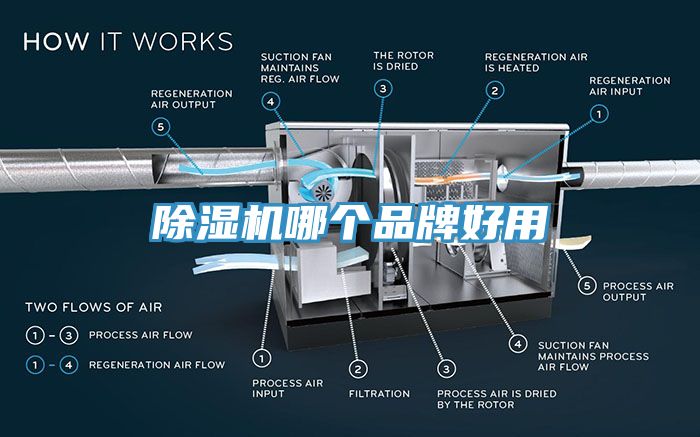 91看片网站哪個品牌好用