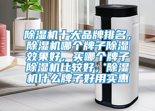 91看片网站十大品牌排名，91看片网站哪個牌子除濕效果好，買哪個牌子91看片网站比較好，91看片网站什麽牌子好用實惠