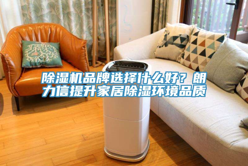 91看片网站品牌選擇什麽好？朗力信提升家居除濕環境品質