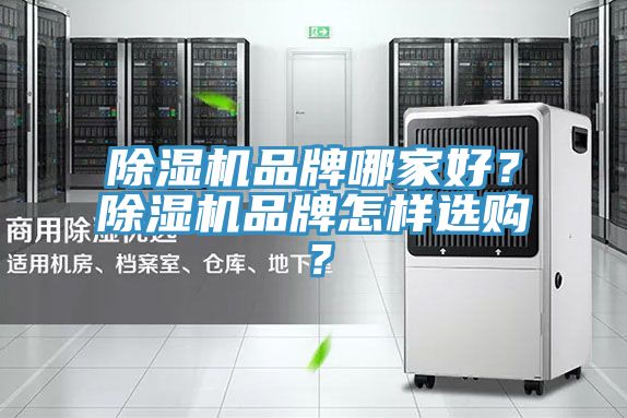 91看片网站品牌哪家好？91看片网站品牌怎樣選購？