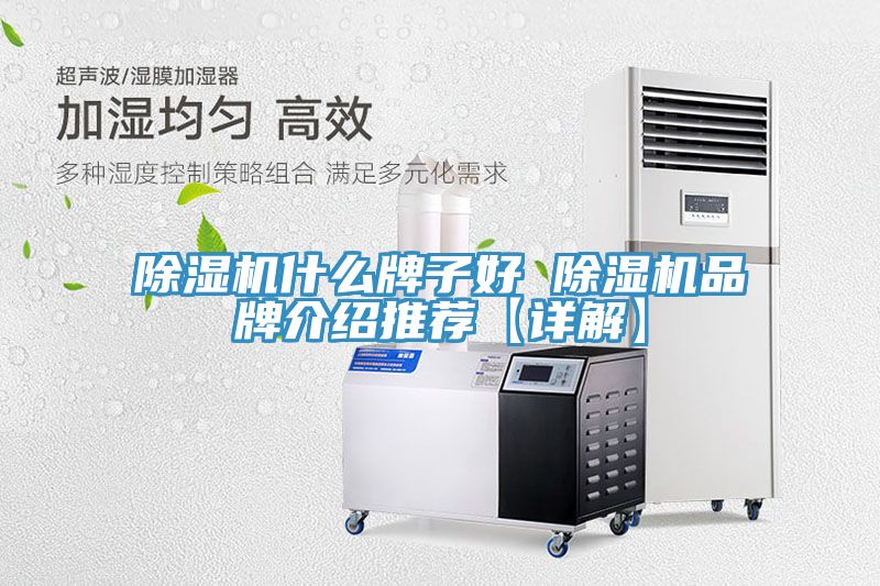 91看片网站什麽牌子好 91看片网站品牌介紹推薦【詳解】