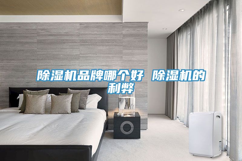 91看片网站品牌哪個好 91看片网站的利弊