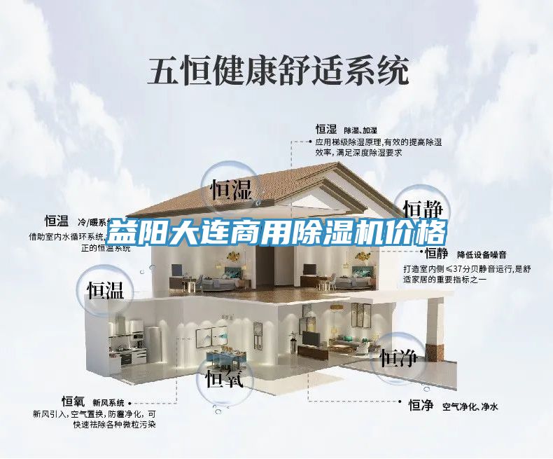 益陽大連商用91看片网站價格