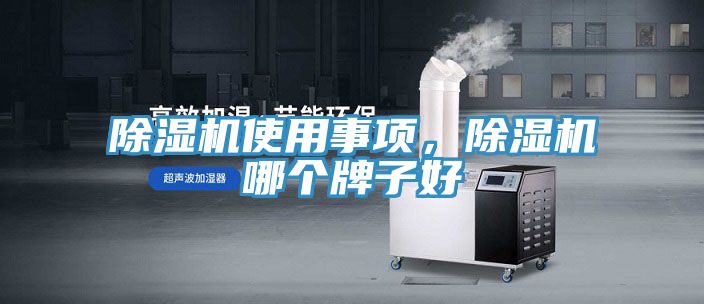 91看片网站使用事項，91看片网站哪個牌子好
