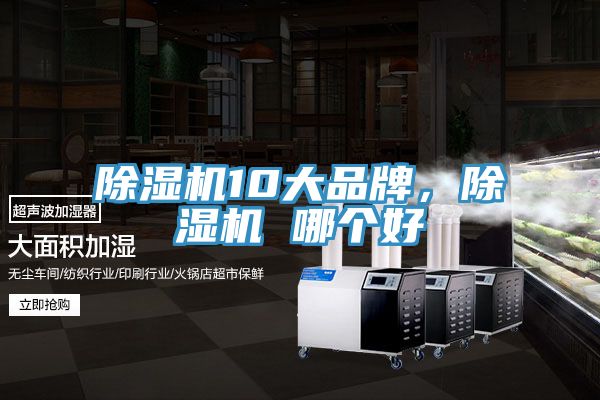 91看片网站10大品牌，91看片网站 哪個好