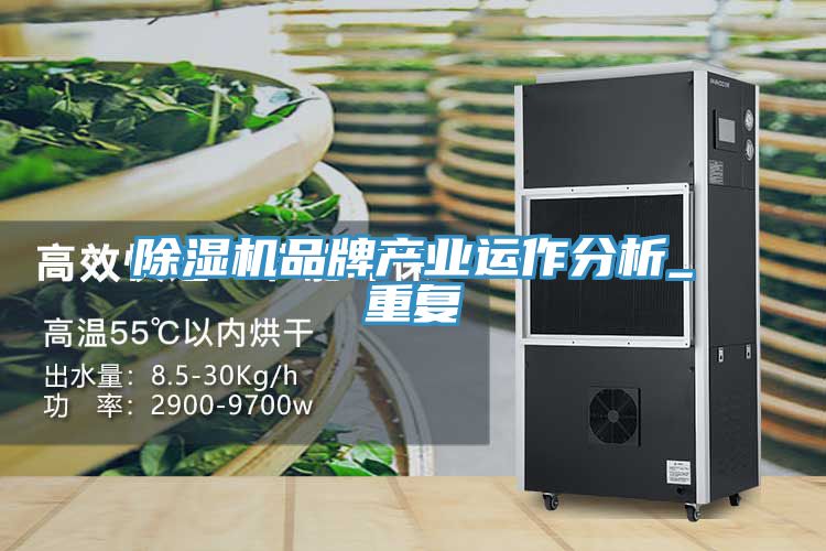 91看片网站品牌產業運作分析_重複