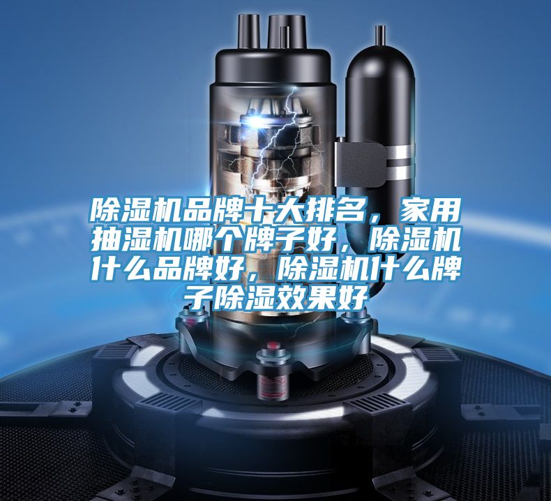 91看片网站品牌十大排名，家用抽濕機哪個牌子好，91看片网站什麽品牌好，91看片网站什麽牌子除濕效果好