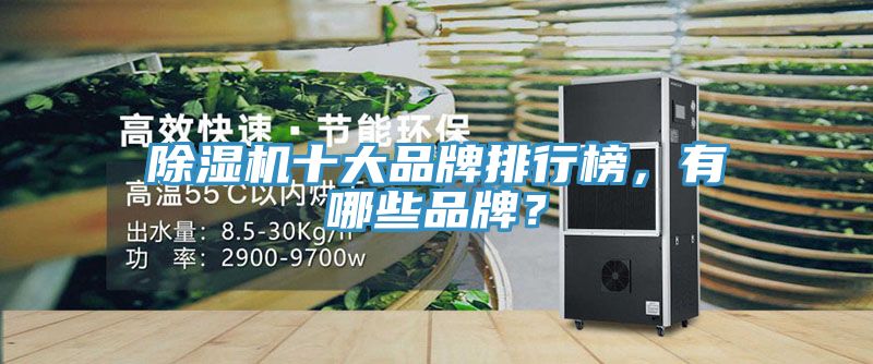 91看片网站十大品牌排行榜，有哪些品牌？