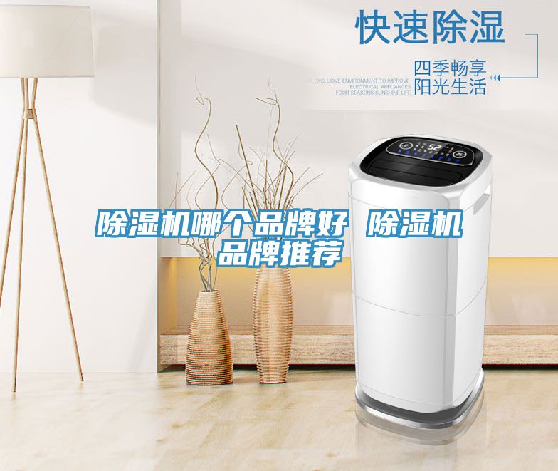 91看片网站哪個品牌好 91看片网站品牌推薦