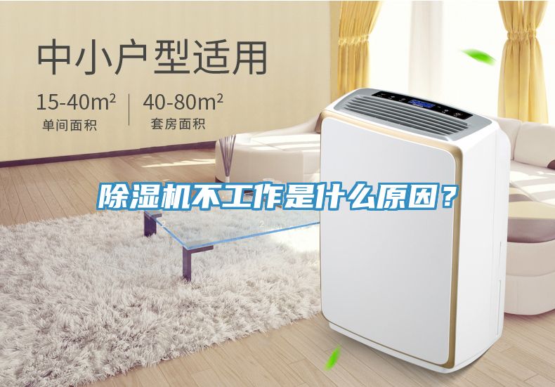 91看片网站不工作是什麽原因？