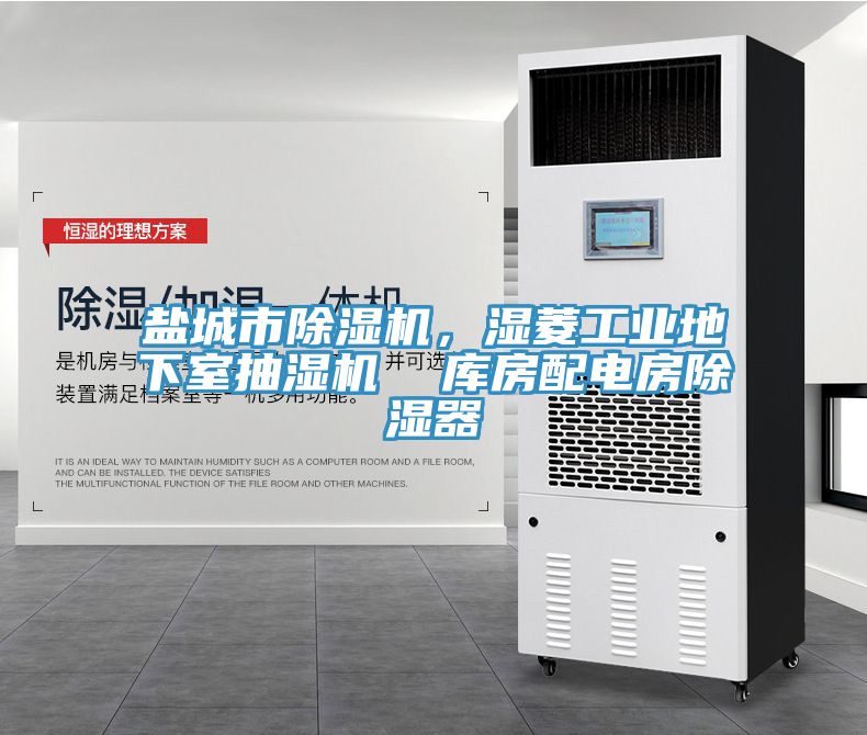 鹽城市91看片网站，濕菱工業地下室抽濕機  庫房配電房除濕器