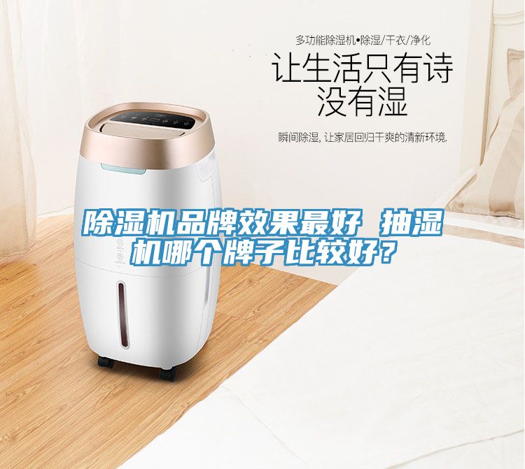 91看片网站品牌效果最好 抽濕機哪個牌子比較好？