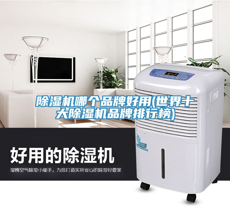91看片网站哪個品牌好用(世界十大91看片网站品牌排行榜)