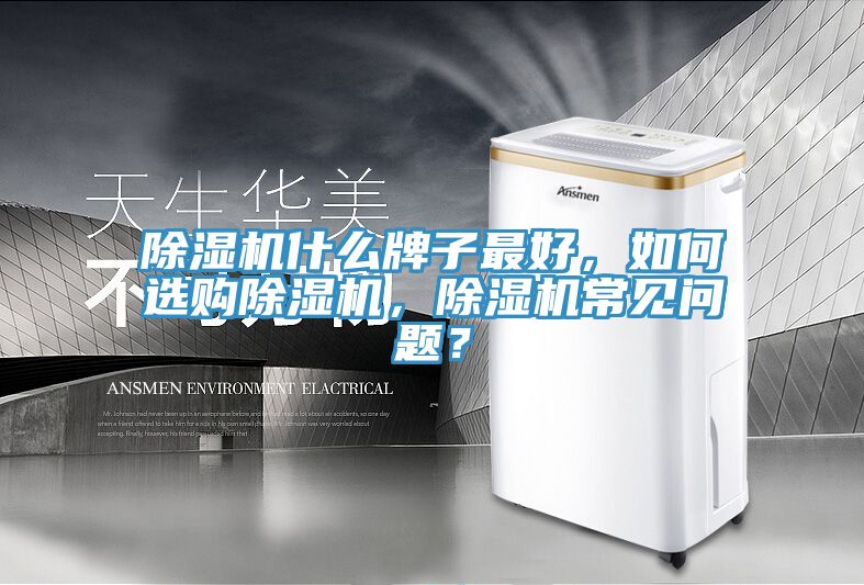 91看片网站什麽牌子最好，如何選購91看片网站，91看片网站常見問題？