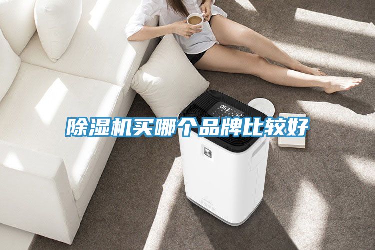 91看片网站買哪個品牌比較好