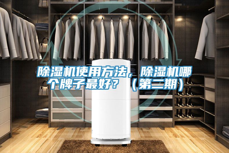91看片网站使用方法，91看片网站哪個牌子最好？（第二期）
